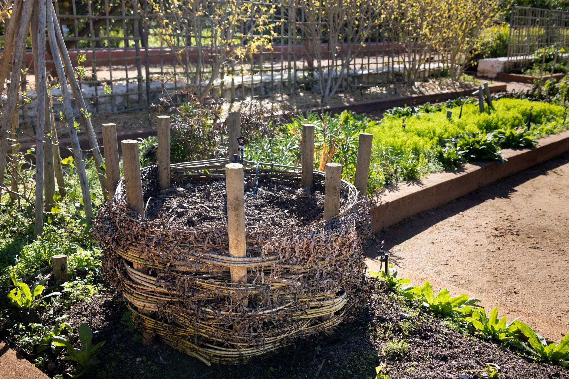 Composteur en bois installé au fond d'un jardin potager