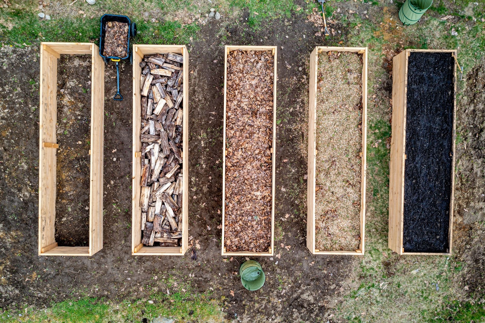 Paillis de feuilles mortes au pied de plantes au potager
