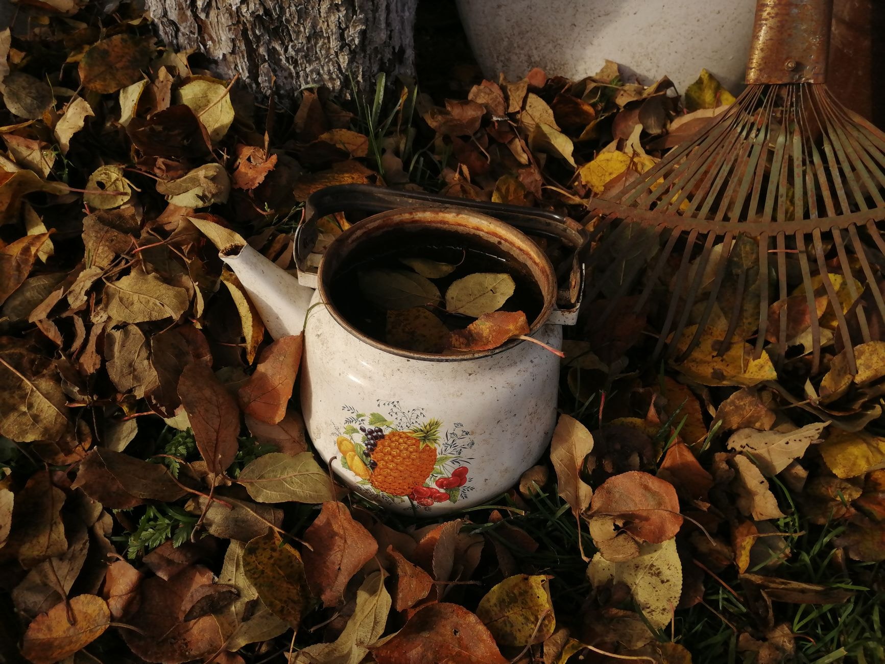 Jardinier ratissant des feuilles mortes sur le gazon