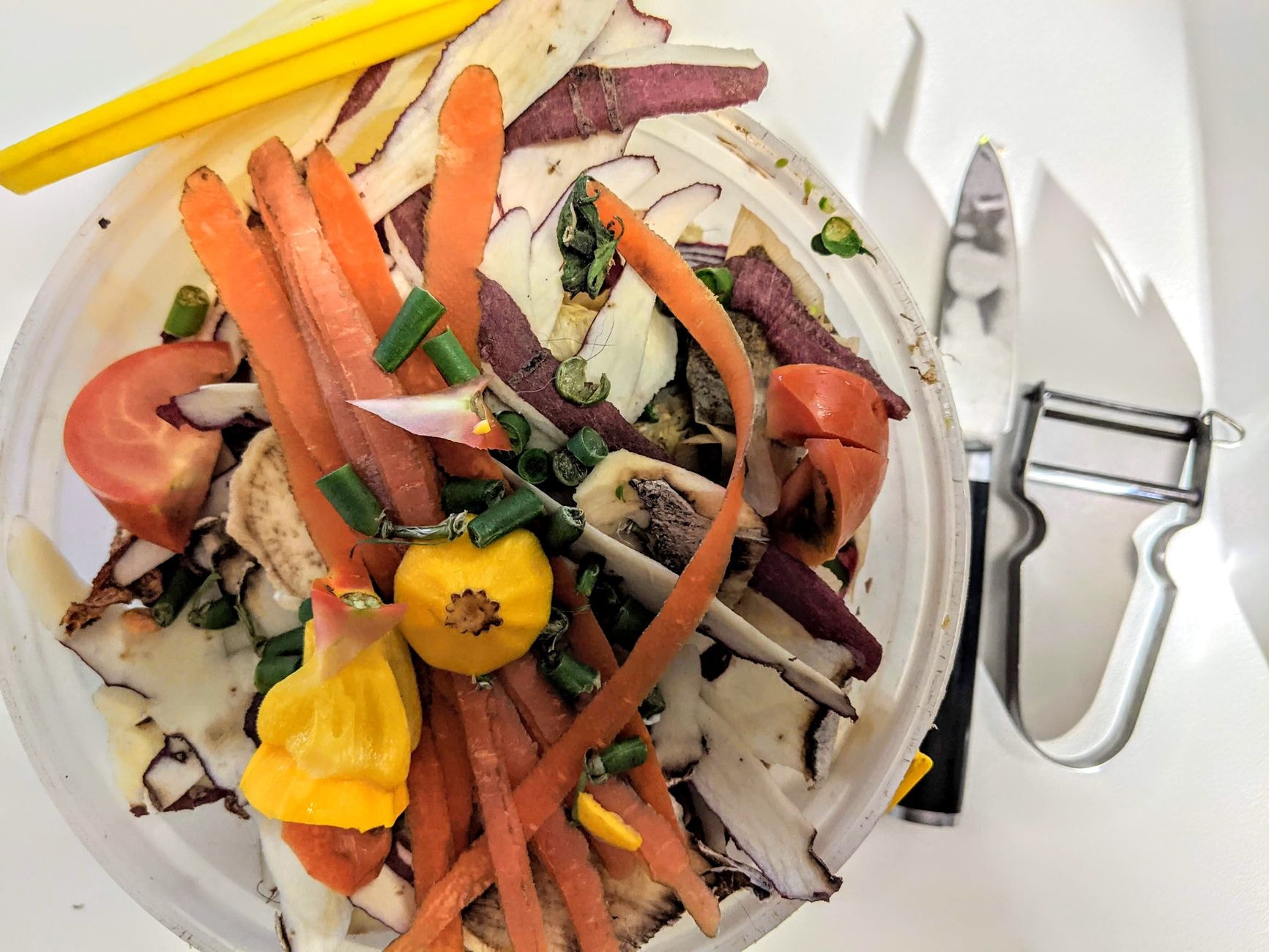 Seau d'épluchures de légumes prêt à être versé au composteur